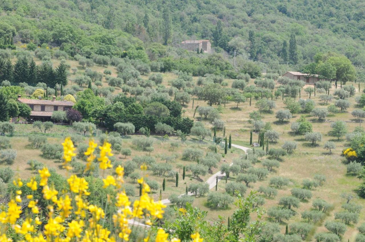 Agriturismo Panorama Sul Lago Passignano sul Trasimeno Bagian luar foto